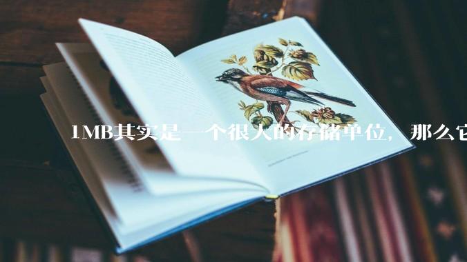 1MB其实是一个很大的存储单位，那么它的存储容量究竟有多大？