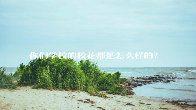 你们学校的校花都是怎么样的？