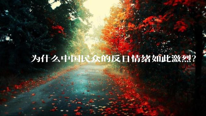 为什么中国民众的反日情绪如此激烈？
